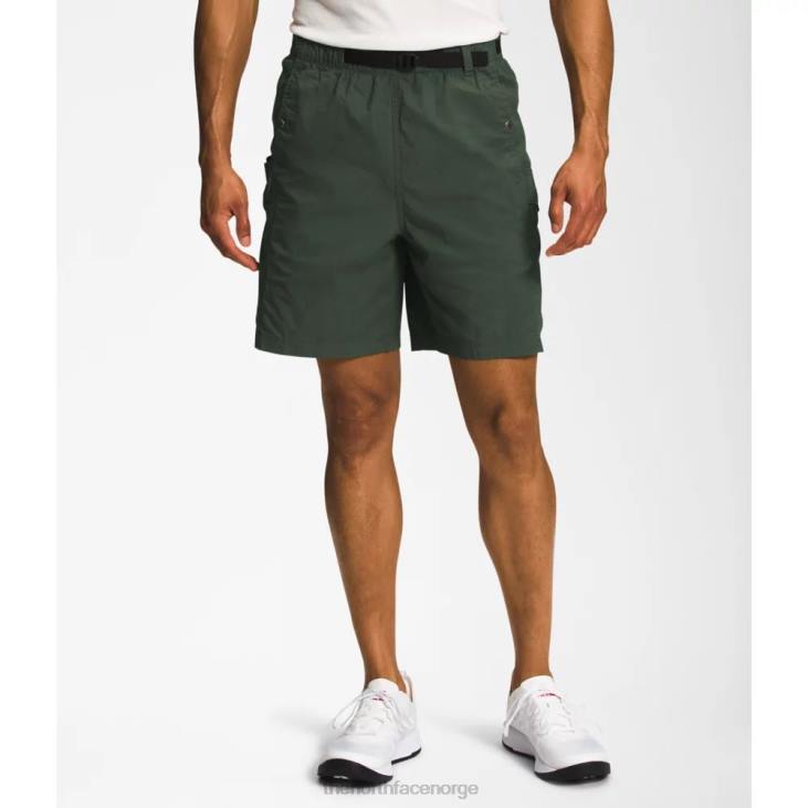 herre ripstop cargo easy shorts V20J4652 timian The North Face